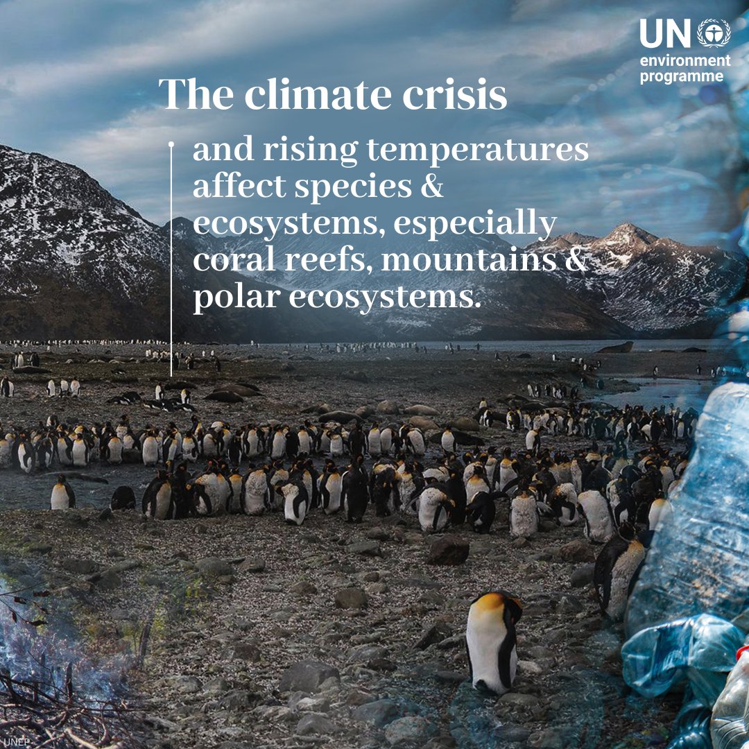 UNEP's tweet photo. Five drivers of the nature crisis 👇