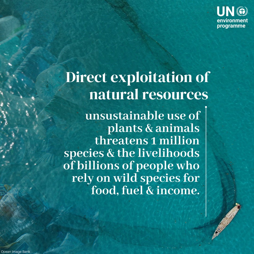 UNEP's tweet photo. Five drivers of the nature crisis 👇