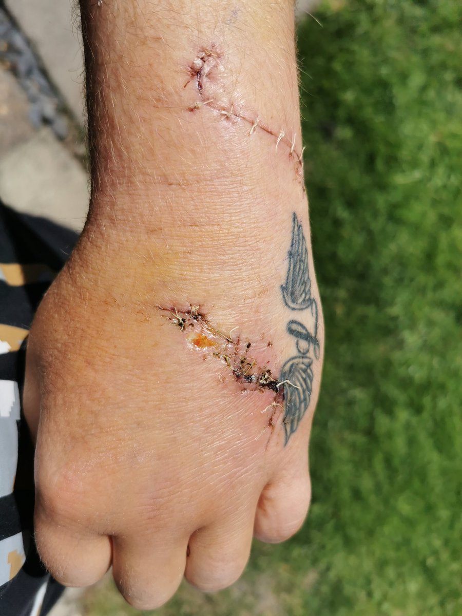 Jedd Roberts tweet media