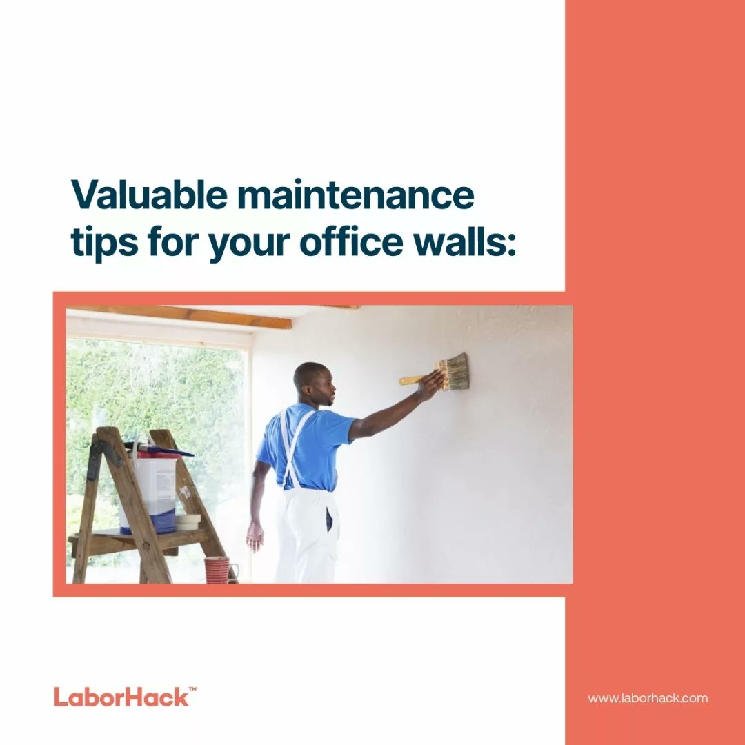 Laborhack_ng's tweet photo. By implementing these maintenance tips, you can keep your office walls in excellent condition, ensuring a clean, professional, and welcoming workspace for your employees and visitors.
Visit https://t.co/Nwpua44Gj6 to hire Professional artisans for your office needs.
#laborhack https://t.co/pqT2W2MMw2
