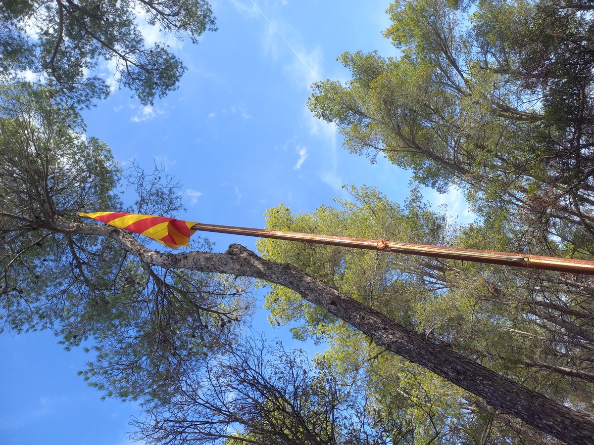 elaia1970's tweet photo. Caminada matinal després d'un bon esmorzar per restituir l'estelada de Montcogul amb l'escamot de L'Hort, @japelfort @wolken76 @Rutx13 
Bona Diada a tothom!
#11S2023 https://t.co/q37xgMCrDA