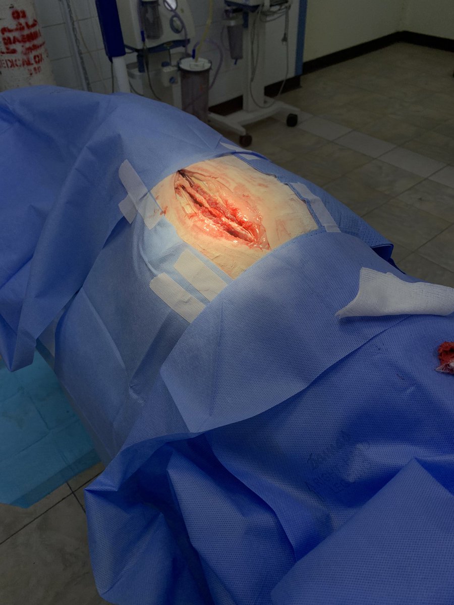 ~Mohammed💜🧠 tweet media