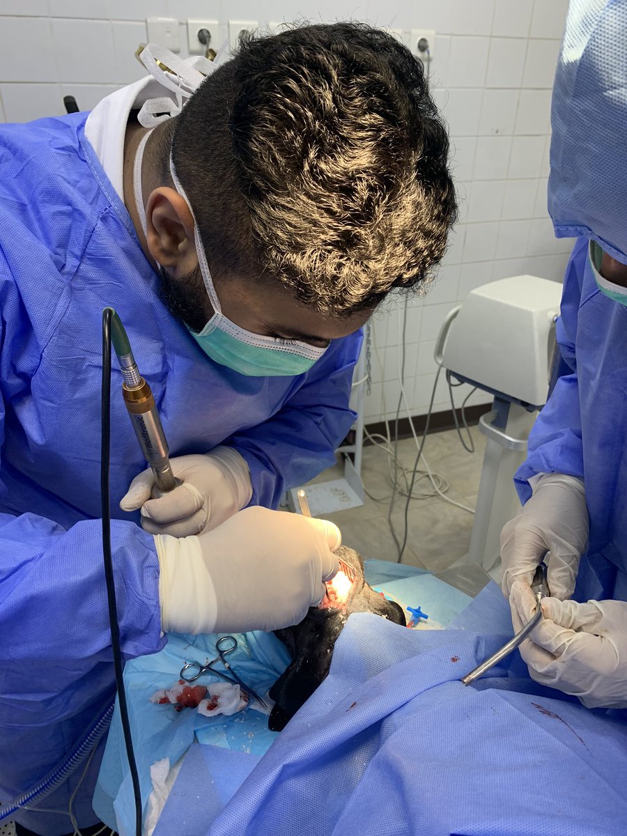 ~Mohammed💜🧠 tweet media