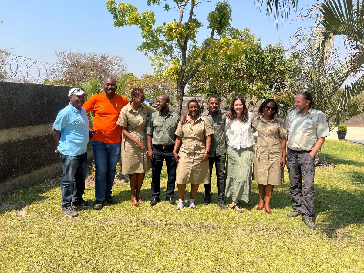 The Utariri Programme tweet media