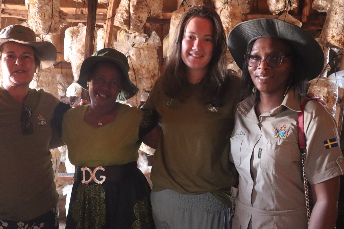 Last week the Utariri Programme was in Hurungwe, with partners <a href="/DCA/">DCA - National</a> @Bushlife Conservancy <a href="/TFOHF/">The Future of Hope</a> facilitating community donor engagement.