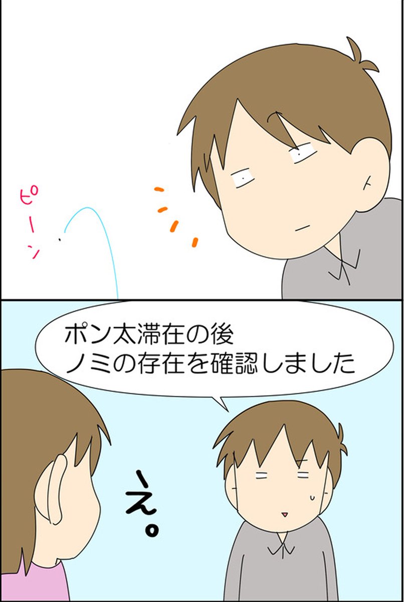 人間を信じなくなった猫 1/3
#漫画が読めるハッシュタグ #漫画がよめるハッシュタグ #漫画 #コミックエッセイ #猫のいるくらし #猫好きさんと繋がりたい #日常垢さんと繋がりたい