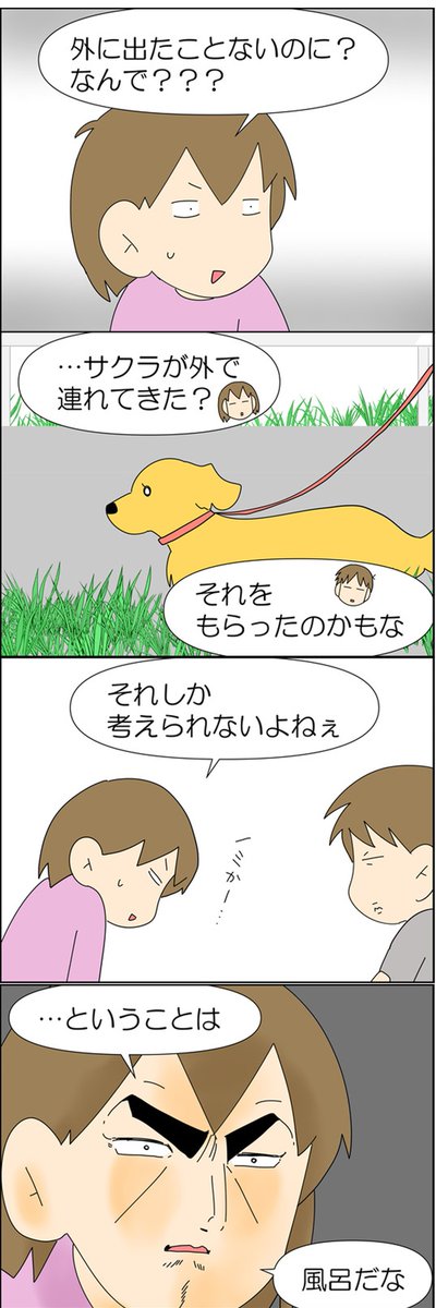 人間を信じなくなった猫 2/3 