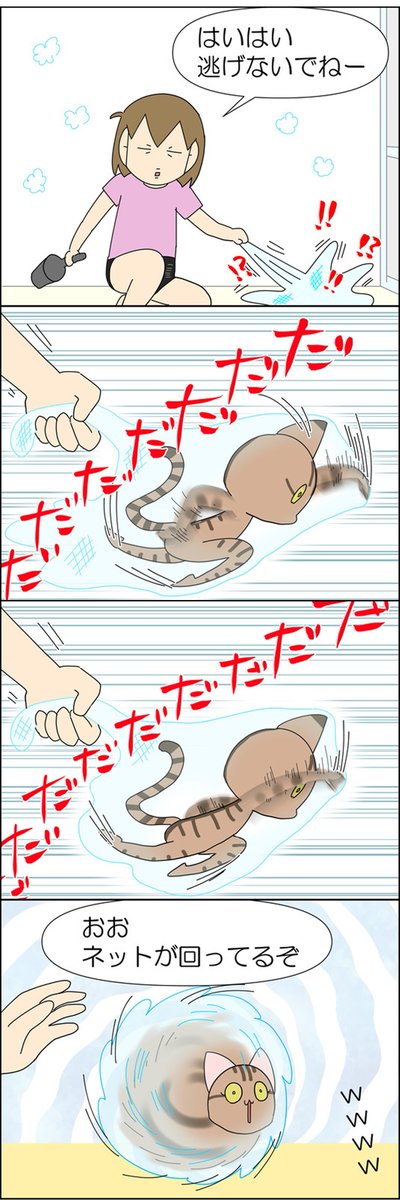 人間を信じなくなった猫 3/3 