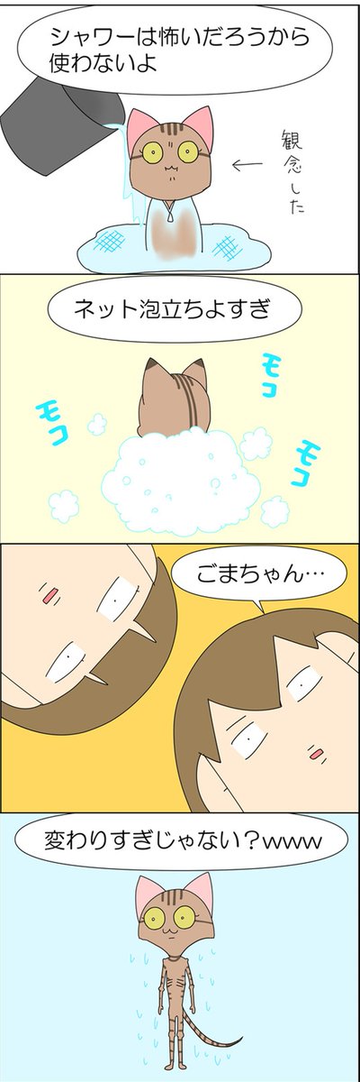 人間を信じなくなった猫 3/3 