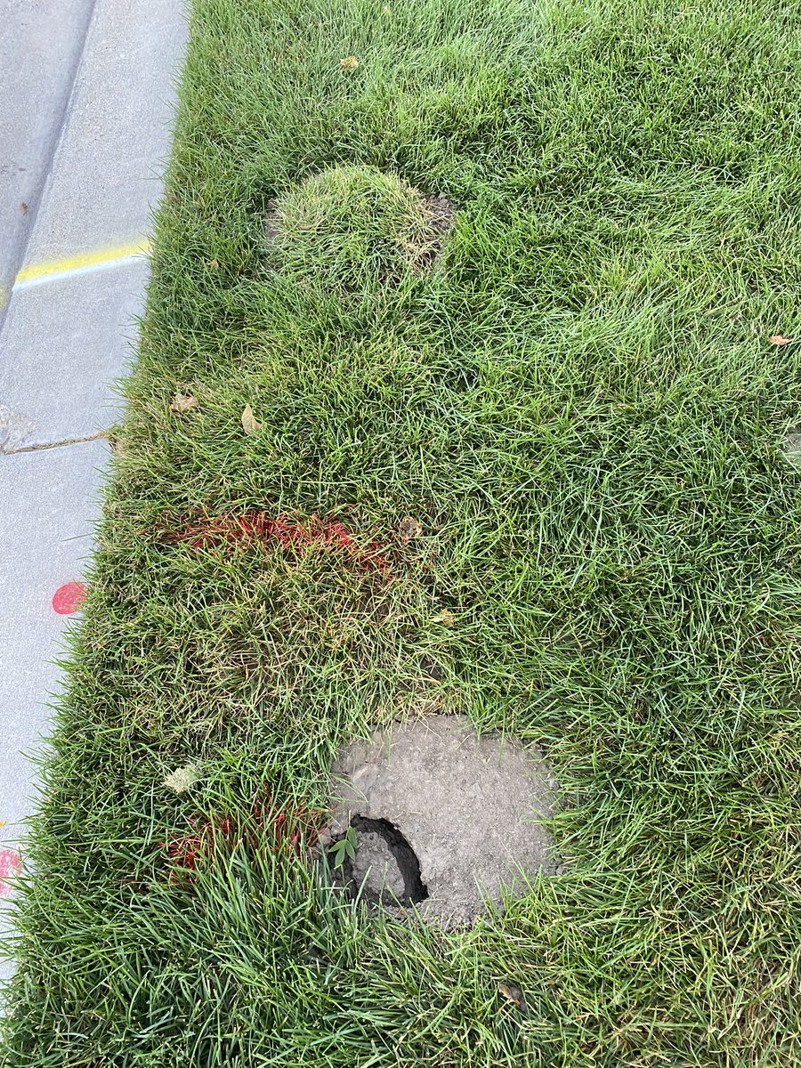 @Xfinity @comcast @eaglemtncity @Jasen_AhYou Please respond to our email regarding the repair of our yard after installation of your fiber. I’m ok if you dig up my yard to improve your business and make money but the right thing to do is put it back better than you found it.
