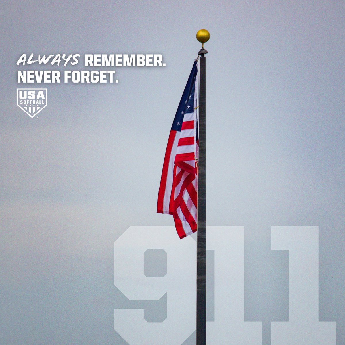 USA Softball tweet media