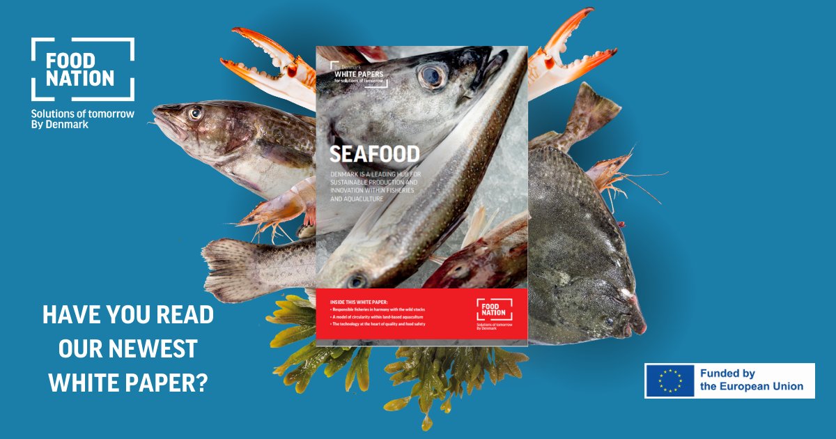 Are you curious about sustainable fisheries and aquaculture innovation? 🐟

Dive into our Seafood white paper! 🌊
👉foodnationdenmark.com/seafood-digita…

It showcases key solutions that drive a sustainable food future🌍
#Sustainability #Innovation #Aquaculture #Fisheries #Denmark #FoodNation