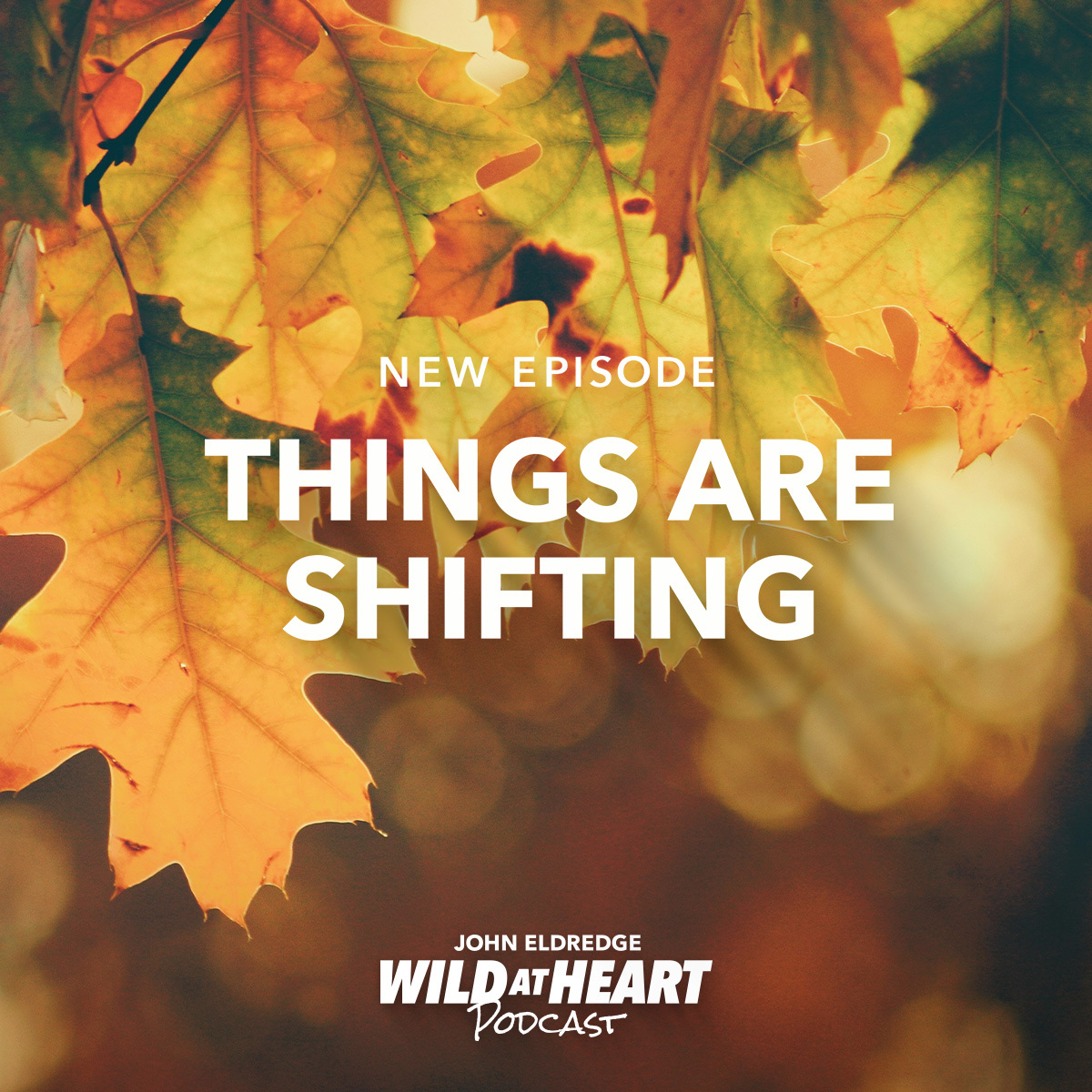 This week, John and Allen talk about a growing sense of imminence in the air—and the various responses it provokes. bit.ly/wahshifting