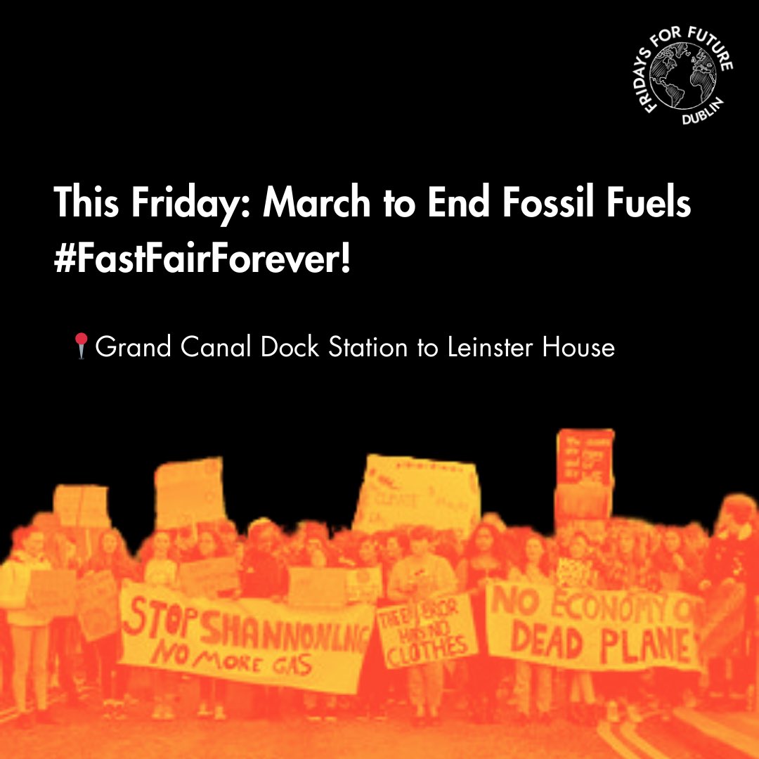 Fridays For Future Dublin tweet media