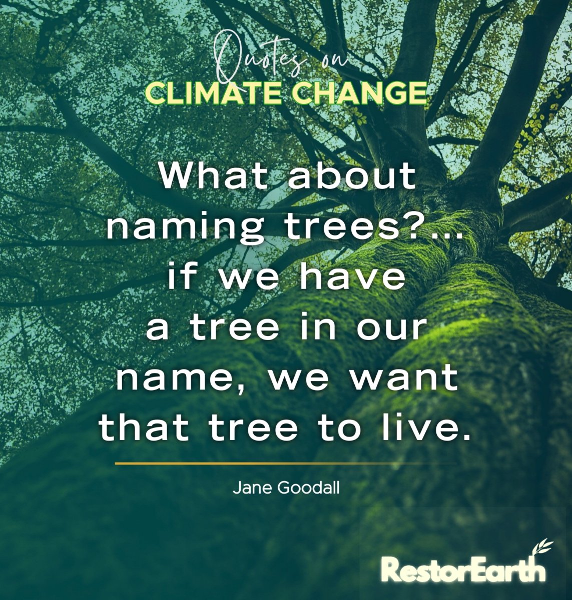savearth_caf's tweet photo. How do you make friends with a tree? ๐ค
You've got to branch out! ๐
Trees are on our side, and they should be given all the protection they can get!
Please leave a like and a follow behind. ๐
#RestorEarth
#ClimateActionNow
#ClimateChangeQuotes
@JaneGoodallInst https://t.co/myJDdq7wdN