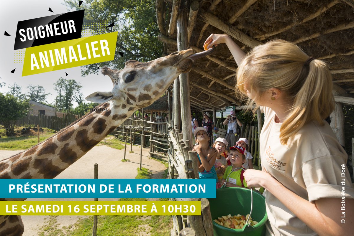 Etablieres's tweet photo. [PORTES OUVERTES SOIGNEUR ANIMALIER] 🦒Le 16 septembre 2023

Rejoignez-nous le 16 septembre 2023 pour découvrir notre formation de Soigneur Animalier 

📝 Inscrivez-vous  pour réserver votre place : https://t.co/pUg2pwgjBw

#PortesOuvertes #SoigneursAnimaliers #FormationPro https://t.co/OvSAzvtXmw