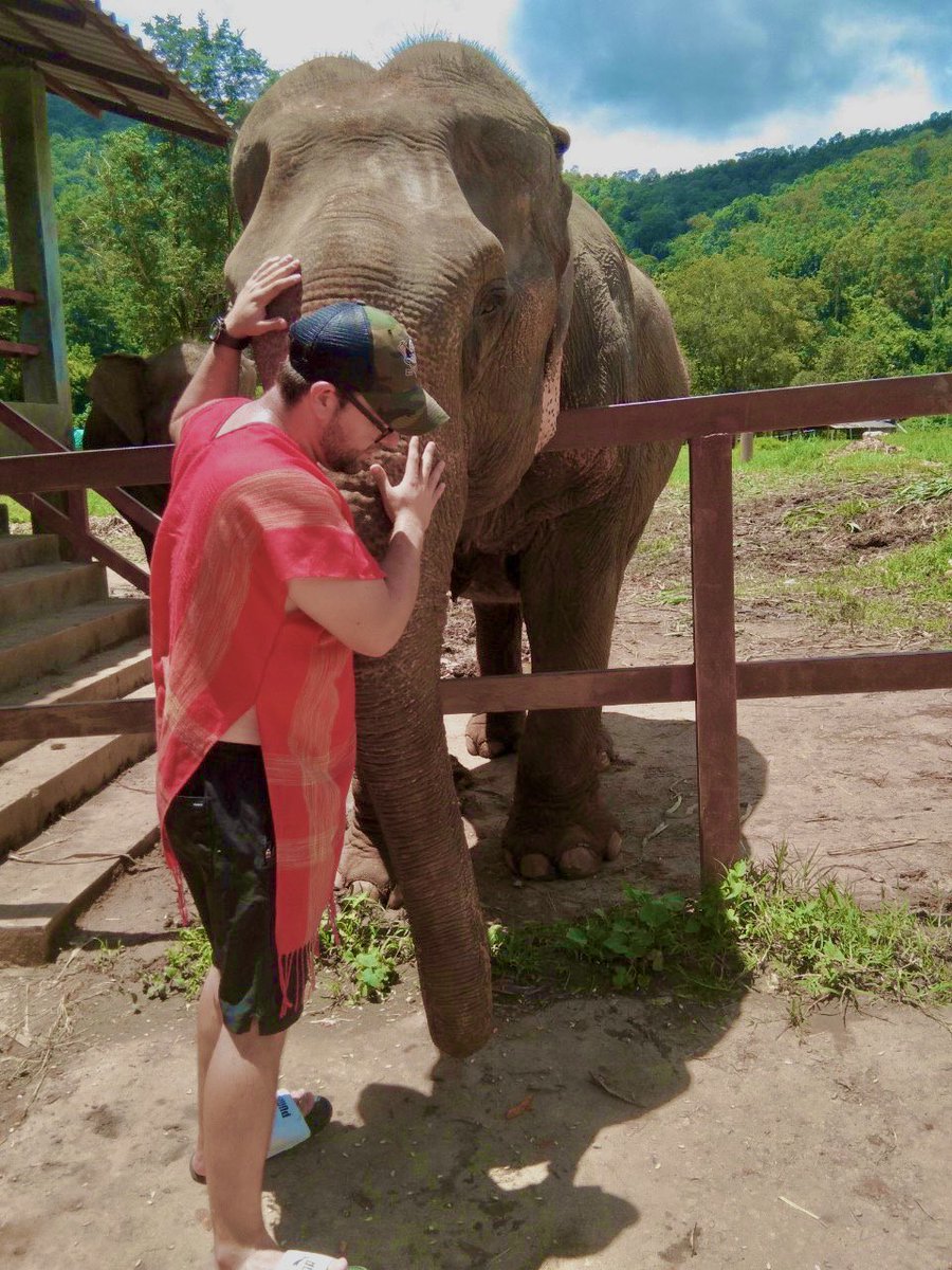 chokchai_camp's tweet photo. 🐘 Majestic creatures of the wild, elephants are a symbol of grace, strength, and wisdom. Let’s protect these gentle giants and their habitats for generations to come. 🌿🌍 #SaveTheElephants #WildlifeConservation #Nature #ElephantLove https://t.co/Wb9rrsUU7s