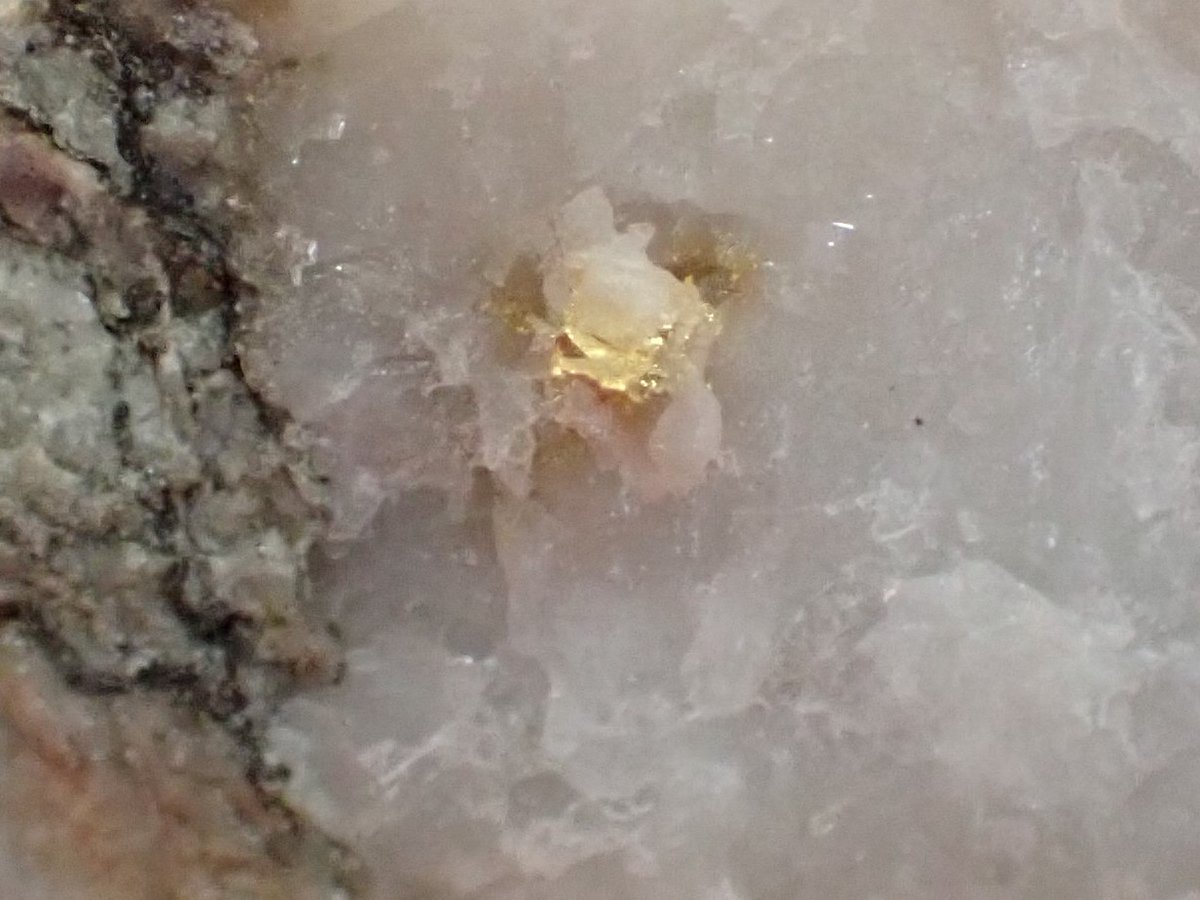 自然金　GOLD Native Gold High-grade 自然金 富鉱 Jacksonville