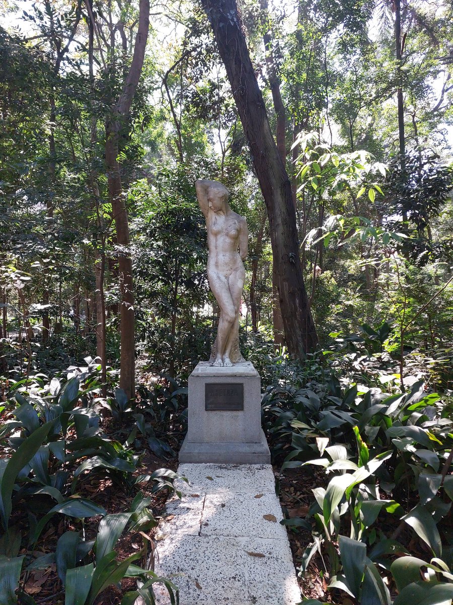 LBortolotti's tweet photo. Moro em São Paulo há 20 anos e hoje foi a primeira vez que entrei no #ParqueTrianon https://t.co/oA9Fmsy7q3