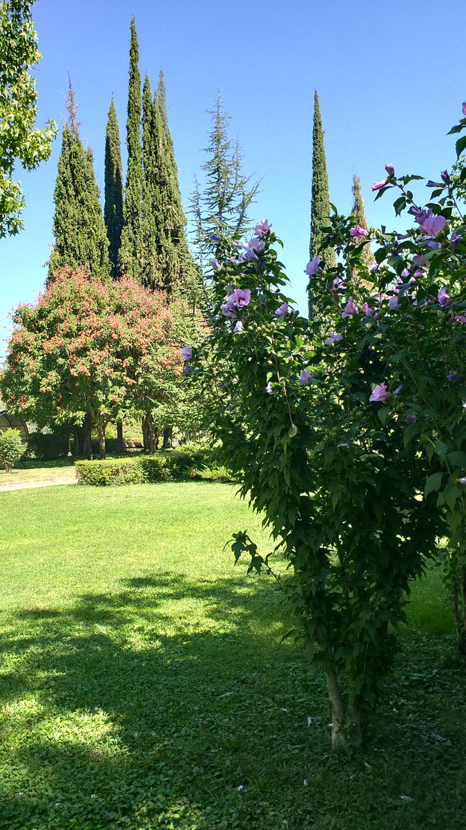 Move2Bulgaria's tweet photo. #Sandanski 's central park is a lovely place to chill out and relax. #Bulgaria https://t.co/Dzf3dIM0VX