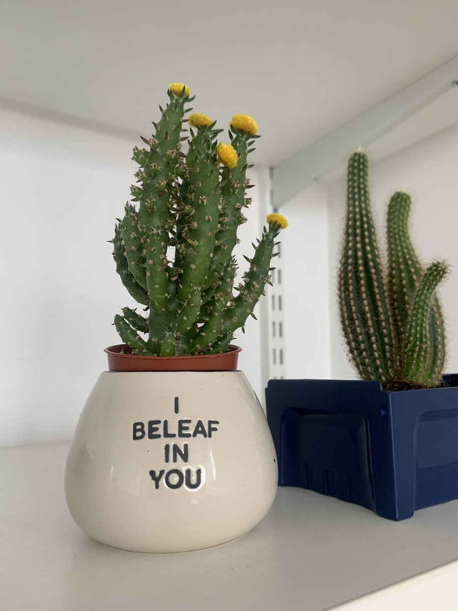 Monday motivation 💗🌵