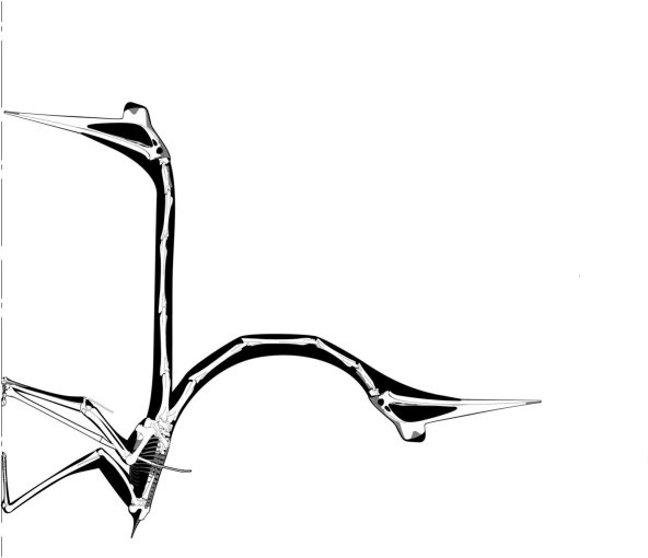 ReCocche's tweet photo. @WryCritic Quetzalcoatlus Woodpecker? https://t.co/CT2hbgb3n7