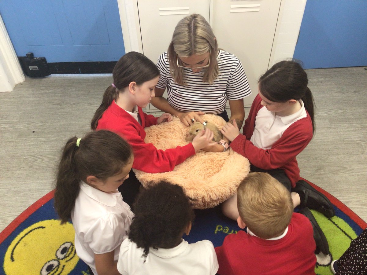 A new furry friend you say? That's right, <a href="/OasisLimeside/">Oasis Limeside</a> have recruited their newest member of the family, and she is going to be everyone's 'bunny bestie!' Read more here - bit.ly/45Il6bO #Oldham #Manchester #oasiscommunitylearning 🐰