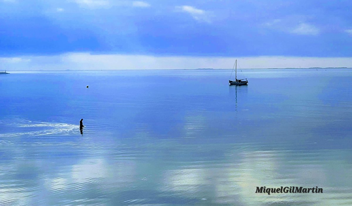 MiquelGilMartin's tweet photo. Pau a la mar.
#landscapephotography #badiadelsalfacs #larapita #terresdelebre #deltadelebre https://t.co/maTphIbXzl