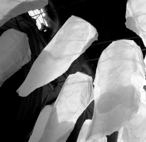 CromerArtspace's tweet photo. Black and White: From the Ethereal to the Concrete
Starting Thu 14 Sep
Esther Boehm
An installation consisting of large scale seemingly floating objects which are viewed from below. 
#CromerArtspace
https://t.co/8tdUkT3aCv https://t.co/eLb8uB18ot