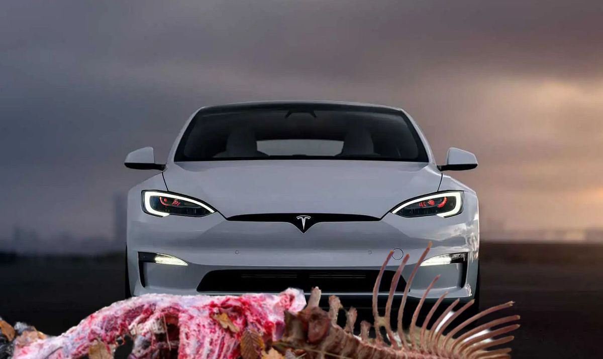 LeChouNews's tweet image. Tesla Software Update Gives Cars An Insatiable Appetite For Blood