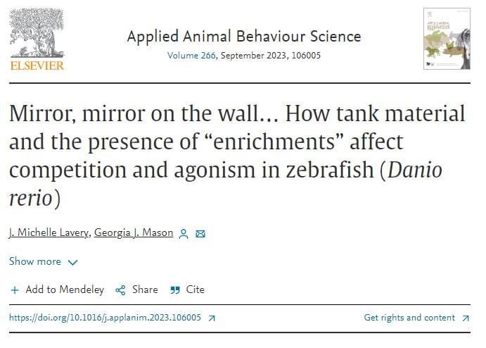 appliedethology's tweet photo. #NewResearchAlert
"Mirror, mirror on the wall… How tank material and the presence of “enrichments” affect competition and agonism in zebrafish (Danio rerio)" By Lavery and Mason
Get the open access paper here: https://t.co/QasKMdnnh3
#fishwelfare #zebrafish #fishbehaviour https://t.co/HcKQdaA2WW