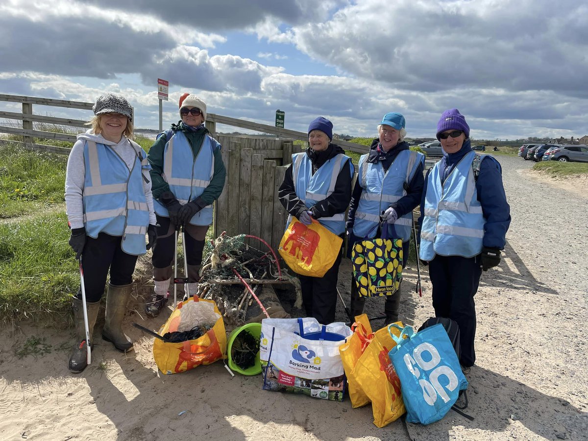 As part of the Great British Beach Clean, we're running drop-in volunteering sessions this Fri - Mon! You can either sign up via the link or turn up on the day 🙂 mcsuk.org/what-you-can-d… @mcsuk @northcoastaonb #volunteering #aonb #northumberlandcoast #conservation #marinelife