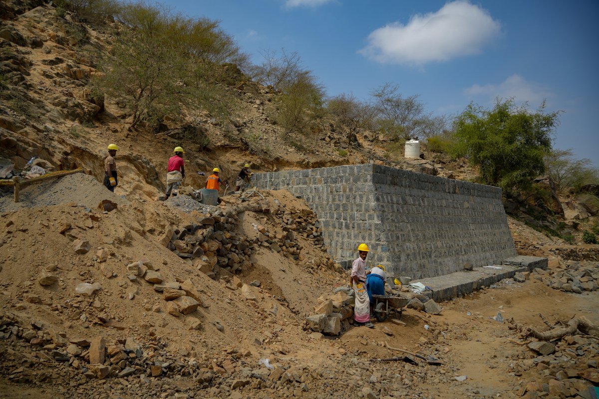 UNDPYemen's tweet photo. What happens when you combine training opportunities &amp; cash for work?

#FoodInsecurity and #ClimateChange in Yemen are addressed.

Learn how @UNDP’s #FSRRP is improving #FoodSecurity with @WorldBankMENA support and our partners @SFDYemen &amp; @PWPYemen.

👇
https://t.co/VHkMZAd57c https://t.co/opvwnM7WP6