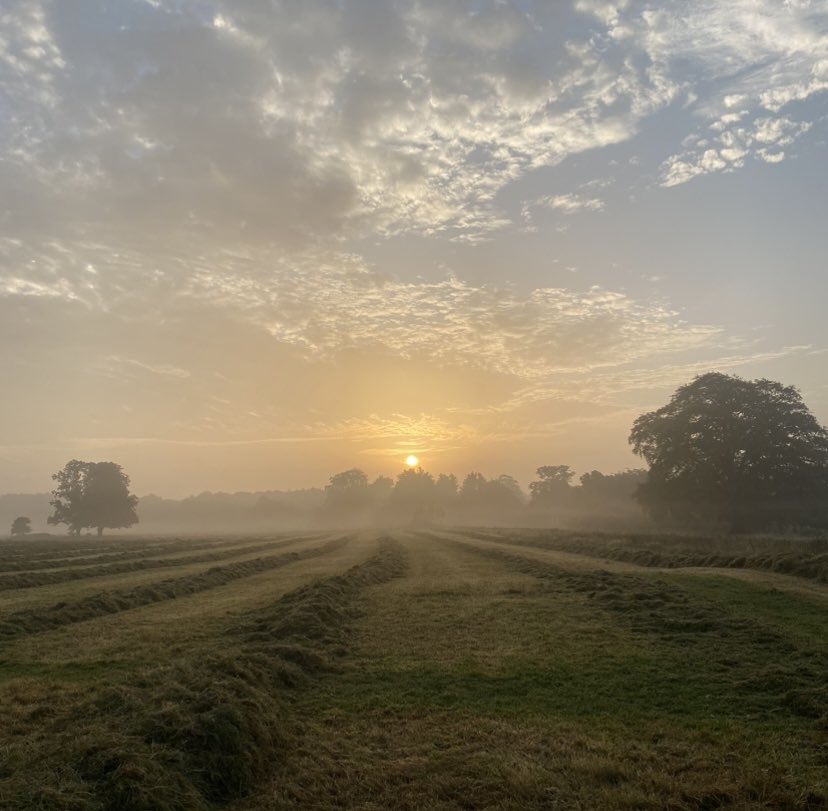 Sar Lane tweet media