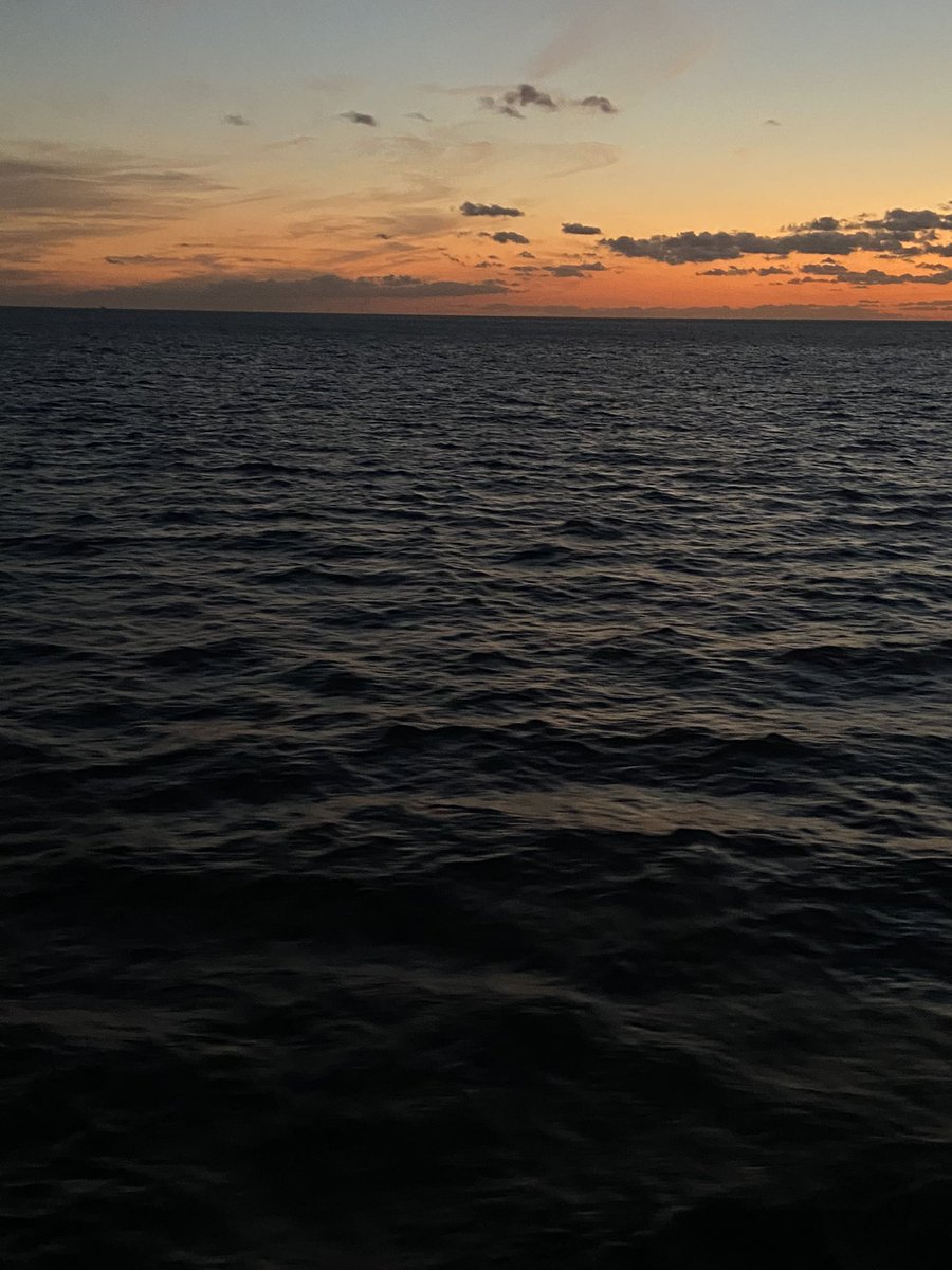 Dörtnala gelip Uzak Asya'dan
Akdeniz'e bir kısrak başı gibi uzanan
bu memleket, bizim.

Bilekler kan içinde, dişler kenetli, ayaklar çıplak
ve ipek bir halıya benziyen toprak,
bu cehennem, bu cennet bizim.