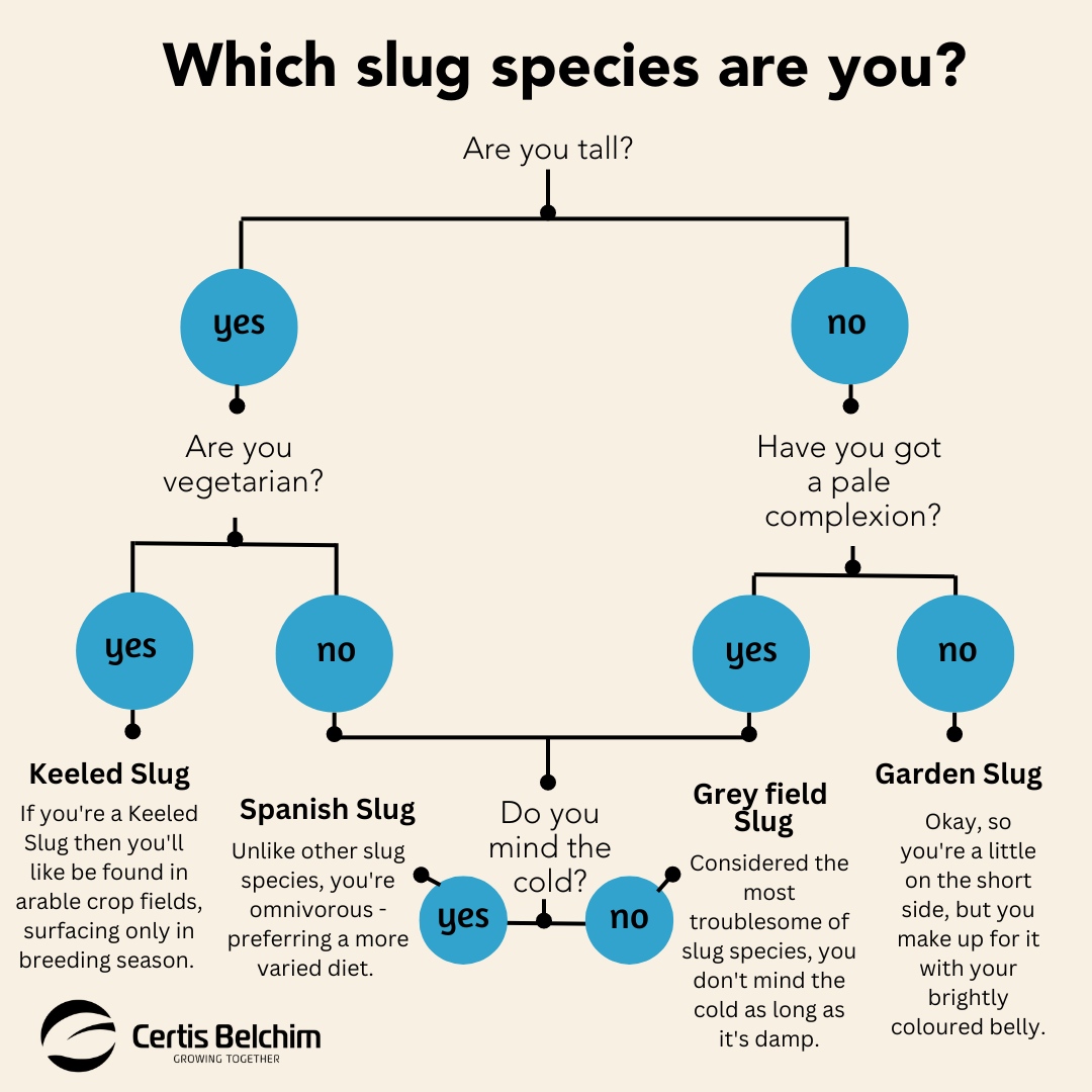 Here in the UK, we have around 40 slug species, although only a few are major crop pests. Each one has its own characteristics and preferences. Our diagram* highlights some of the tell-tale signs of the main species commonly found in the UK’s fields. Which variety are you? #Slugs