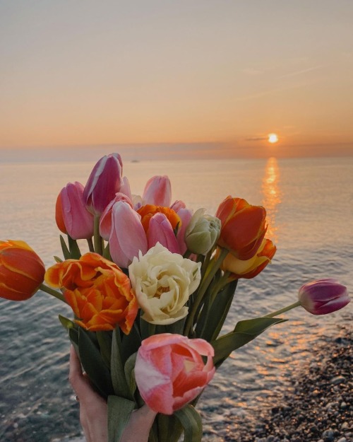 flowers_postss's tweet photo. https://t.co/pgGuUHaAok
