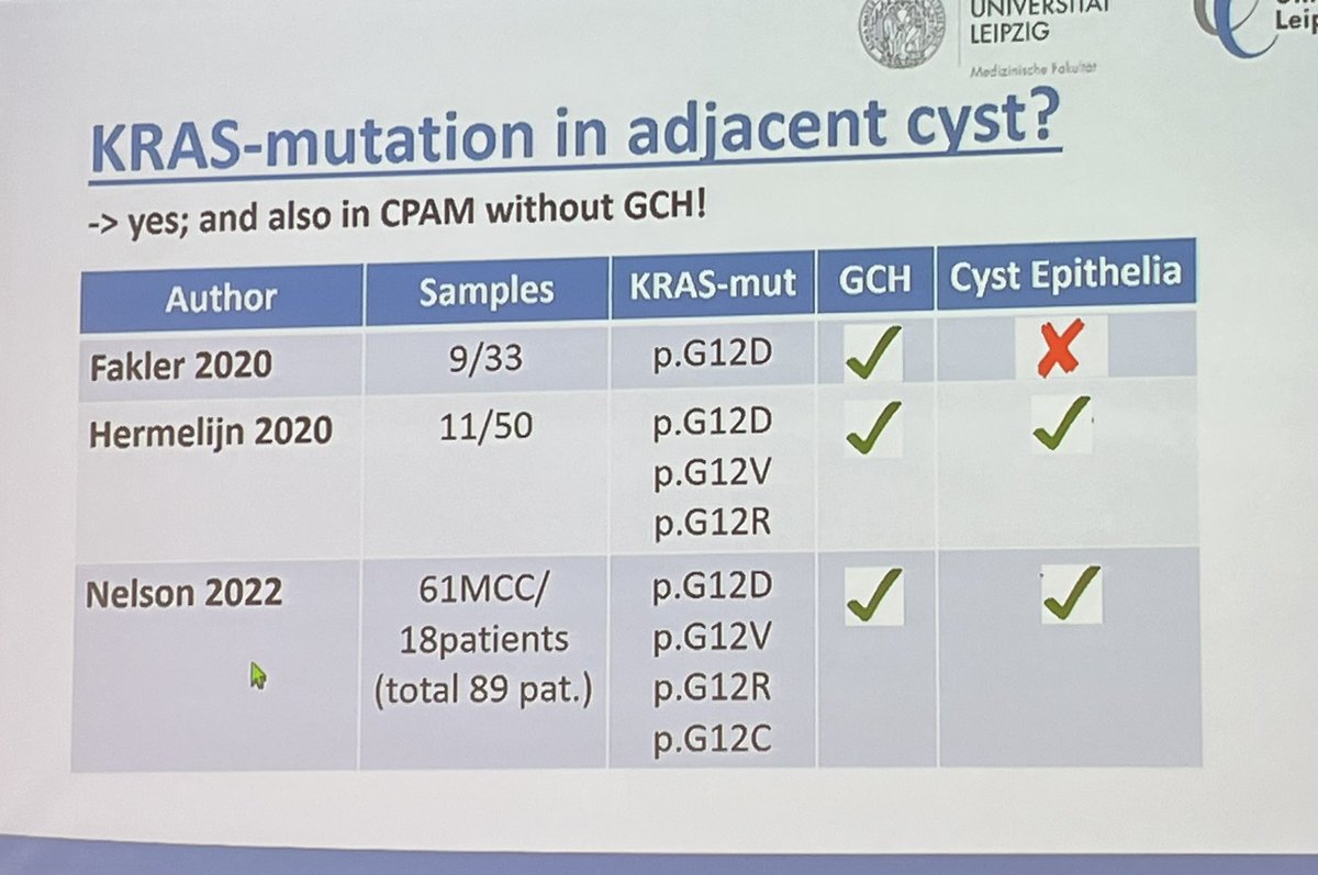 Trupti2410's tweet photo. Congenital pulmonary airway malformation (CPAM) - histological subtyping with molecular characterization … interesting to see some cases with concomitant p53 mutation with common Kras mutation… by Maximilian Von Laffert #ECP23 https://t.co/m33Uc6W7kF