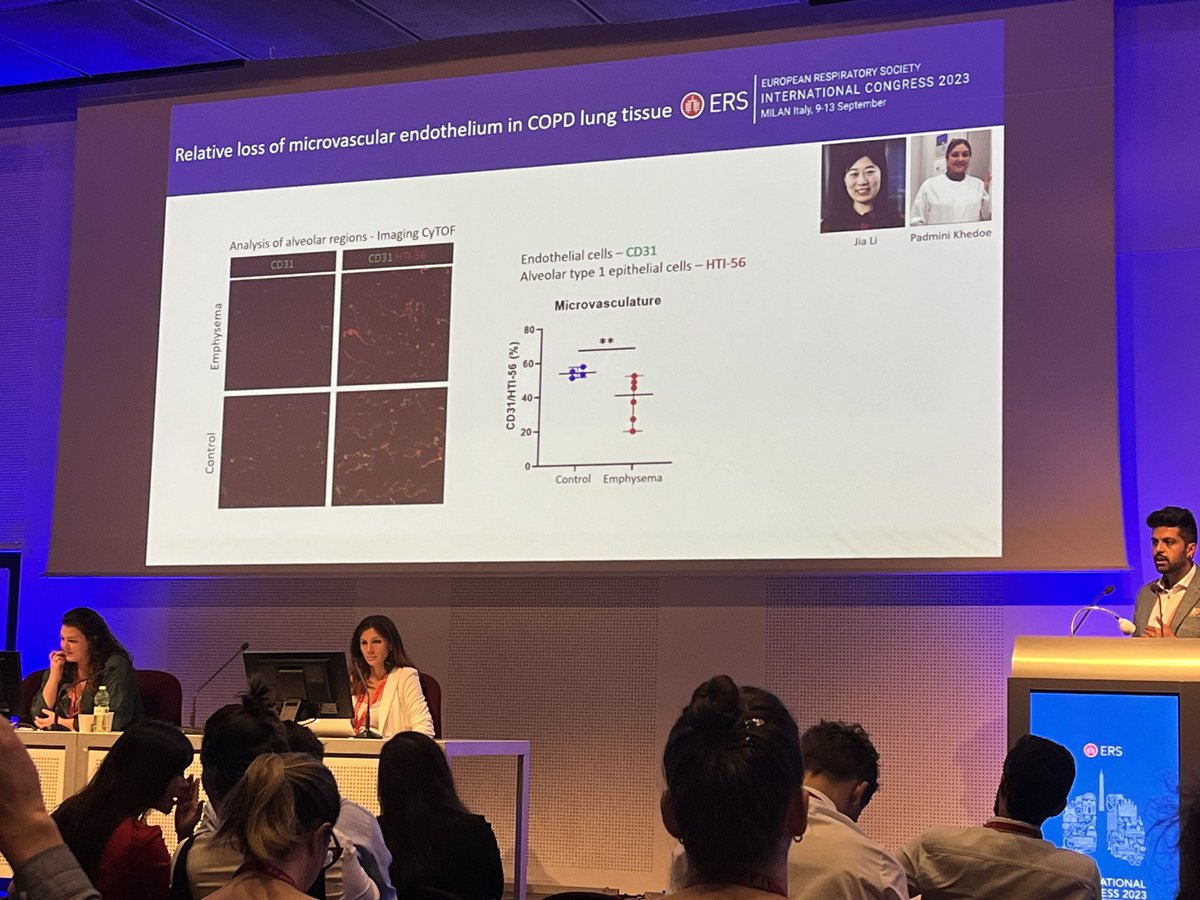 Our postdoc Abilash Ravi is giving not one but two presentations on alveolar epithelial-endothelial cell interactions 👏 at session 271 of the #ERSCongress #ERS2023