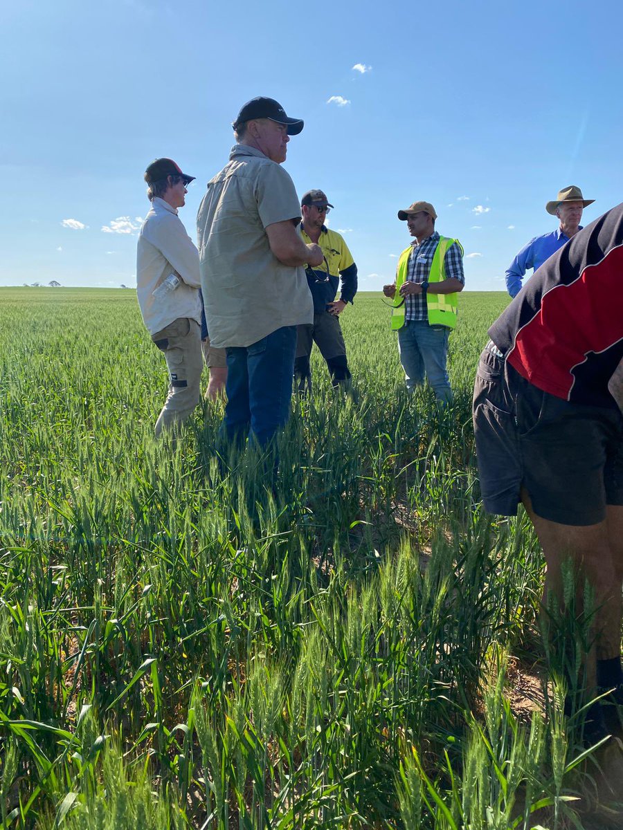 Ahmed Saad tweet media