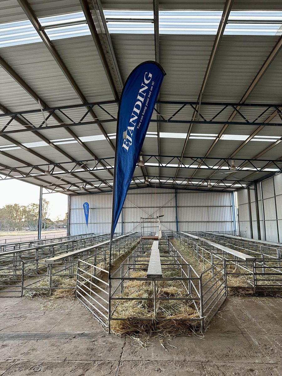 Pens are all set up ready for tomorrow. Looking forward to seeing the team lined up, hope you are too!