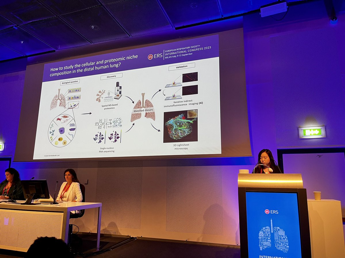 Terrific talk by @yuexin_chen presenting the armada of different modalities she studies at @SchillerLab in order to dissect anatomically distinct cellular niches in distal human lungs! #ERScongress #thefutureisbright