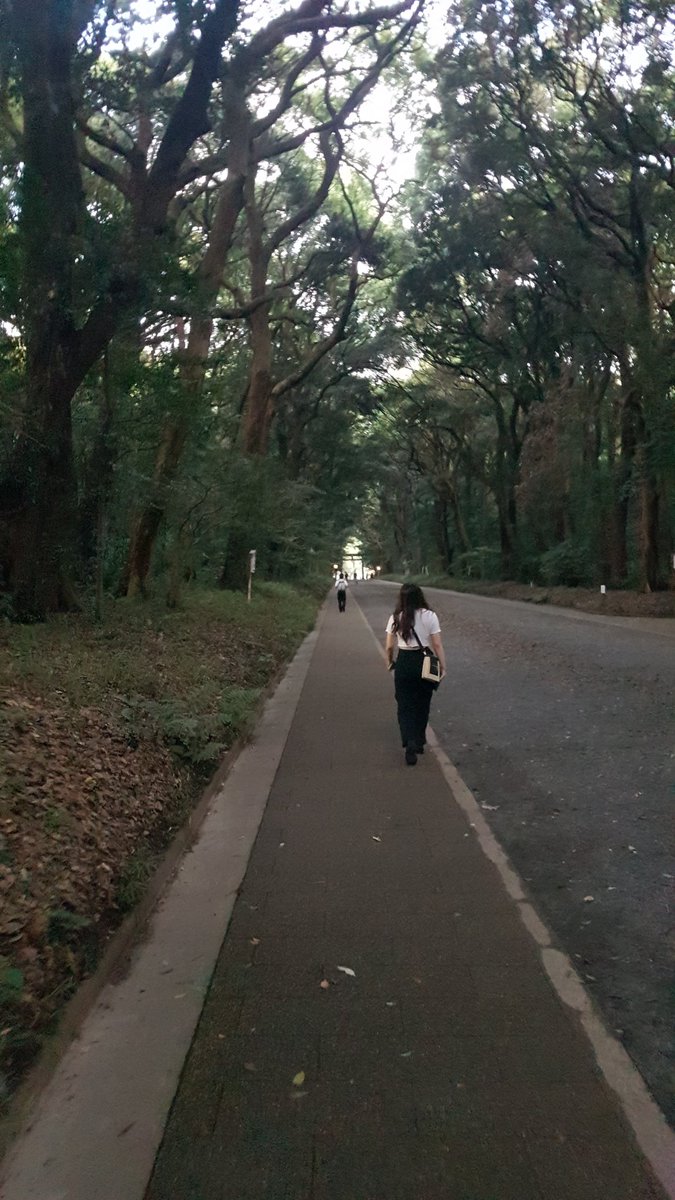 Mitten in Tokyo einfach ein Wald o: