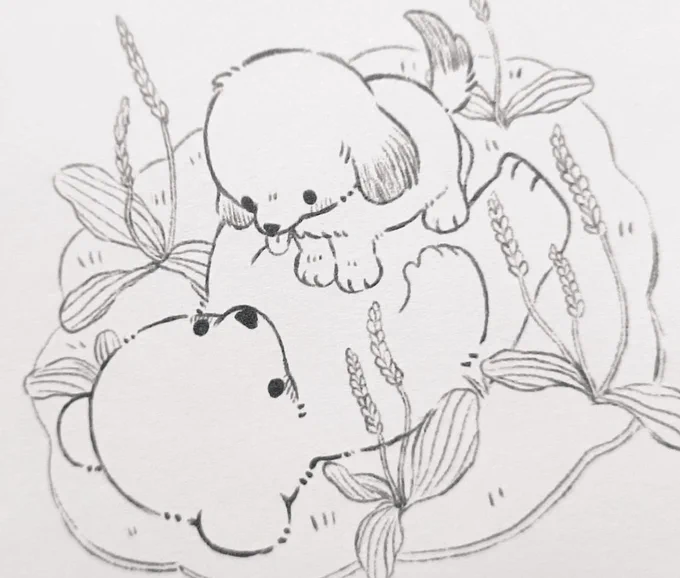 新作の気配…🍀🆕 