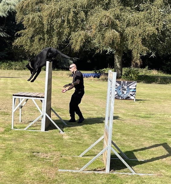 WarksPoliceDogs's tweet photo. PD joker went from demonstrating his agility on Sat to a busy shift sun..
Firstly at an arrest attempt for a male that had assaulted a👮‍♂️&amp; run away the night before. Upon arrival the male tried to run from the back of the 🏠 but was confronted by PD Joker &amp; arrested #OneInCustody https://t.co/3LOdWd02M5