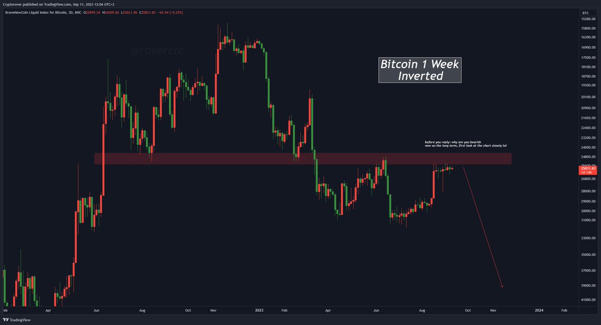 Crypto Rover tweet media