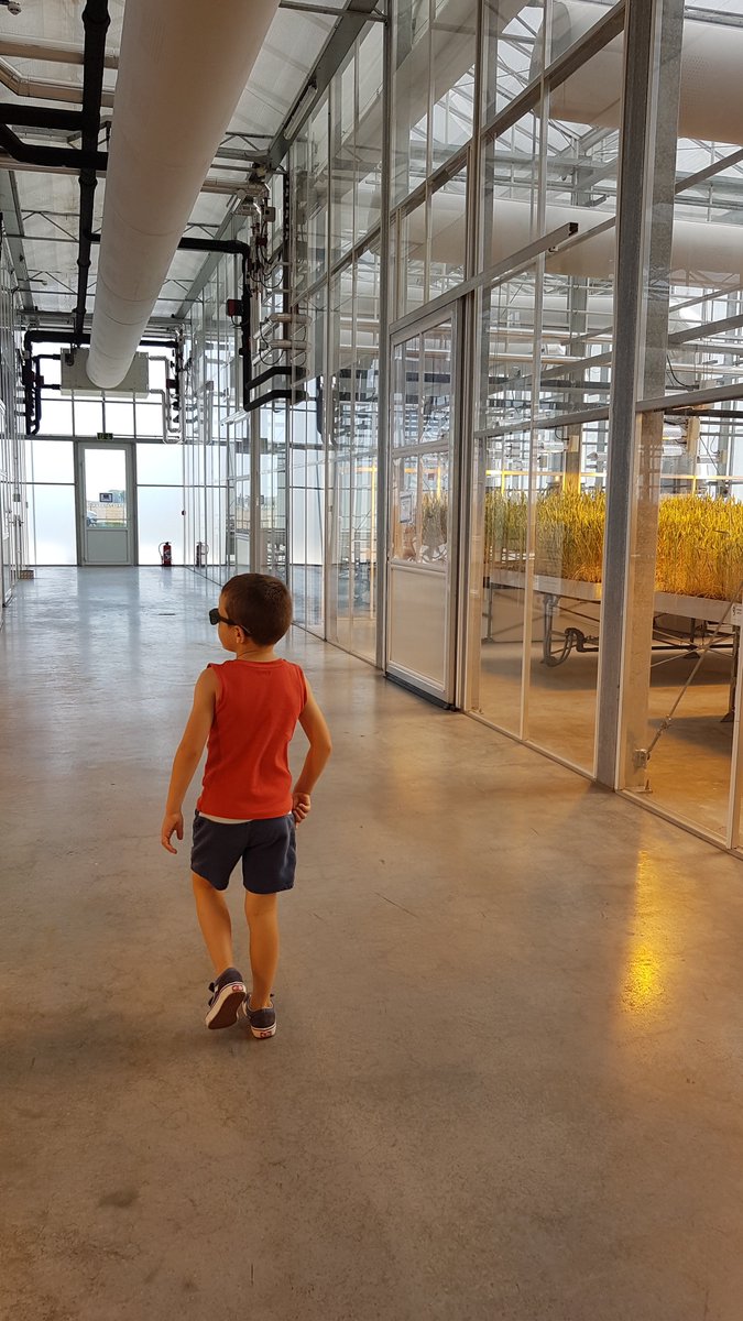 Hier, c'était la journée des familles chez <a href="/GroupeFDesprez/">Florimond Desprez</a>
Quel plaisir d'entendre les rires de nos enfants raisonner dans ces lieux si importants pour nous. Quel plaisir de leur faire découvrir nos métiers qui nous passionnent. Quel plaisir de partager tout cela entre collègues!