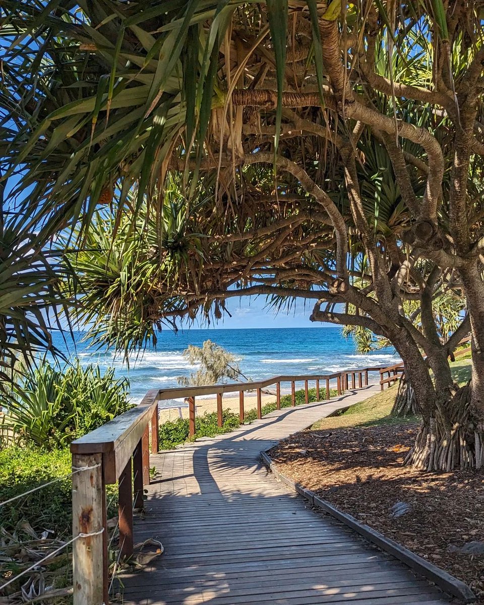 Paradise or Dicky Beach? You won't want to miss this secret spot in Caloundra, where idyllic beachside walks take on a new, dreamy dimension. We can just feel the warmth from the sun! 😍 ☀️ 

📷 credit: @tomomi_aus_life (Instagram)
.
#visitsunshinecoast #sunshinemomentsforreal