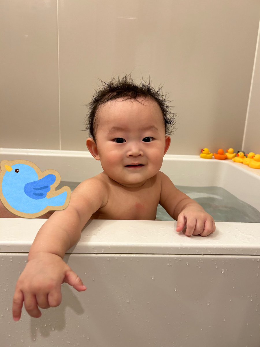 みんなお風呂入りまちたか？♨️