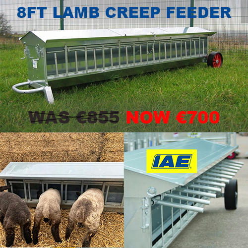 NPA OFFER IAE Lamb Creep Feeder 2440MM (8ft)
WAS €855 NOW €700.00 Incl. VAT

This IAE double-sided lamb creep feeder is 8 ft long with 24 Feed Spaces and has easy exit feed ladders for added safety to reduce instances of head trapping. #sheepshow